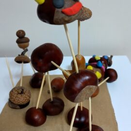 Poznajemy drzewa gr IV Poznajemy drzewa gr IV