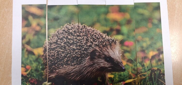 Zwierzęta pośród nas [...]