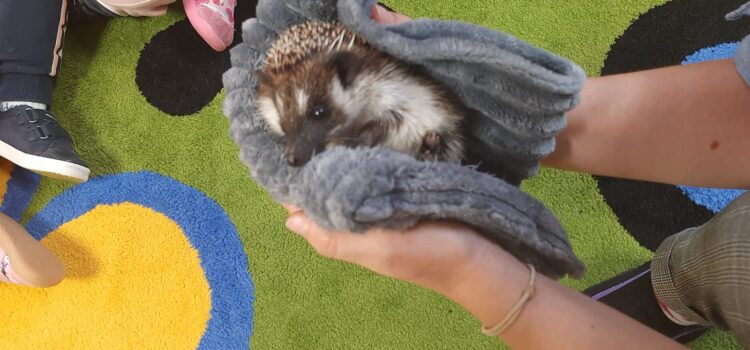 Niecodzienni goście[…]