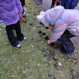 Sadzimy rośliny[…]