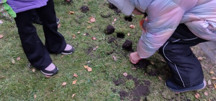 Sadzimy rośliny[…]