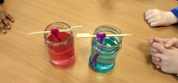 Zimowe zajęcia gr IV Zimowe zajęcia gr IV