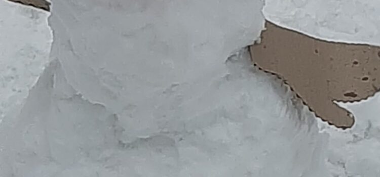 Zimowe szaleństwo w ogrodzie…. Zimowe szaleństwo w ogrodzie….