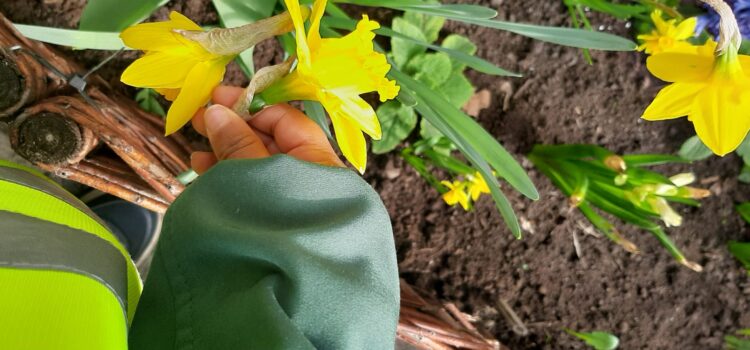 Spacer Szukamy Wiosny